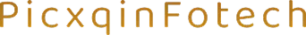 Picxq Info Tech logo